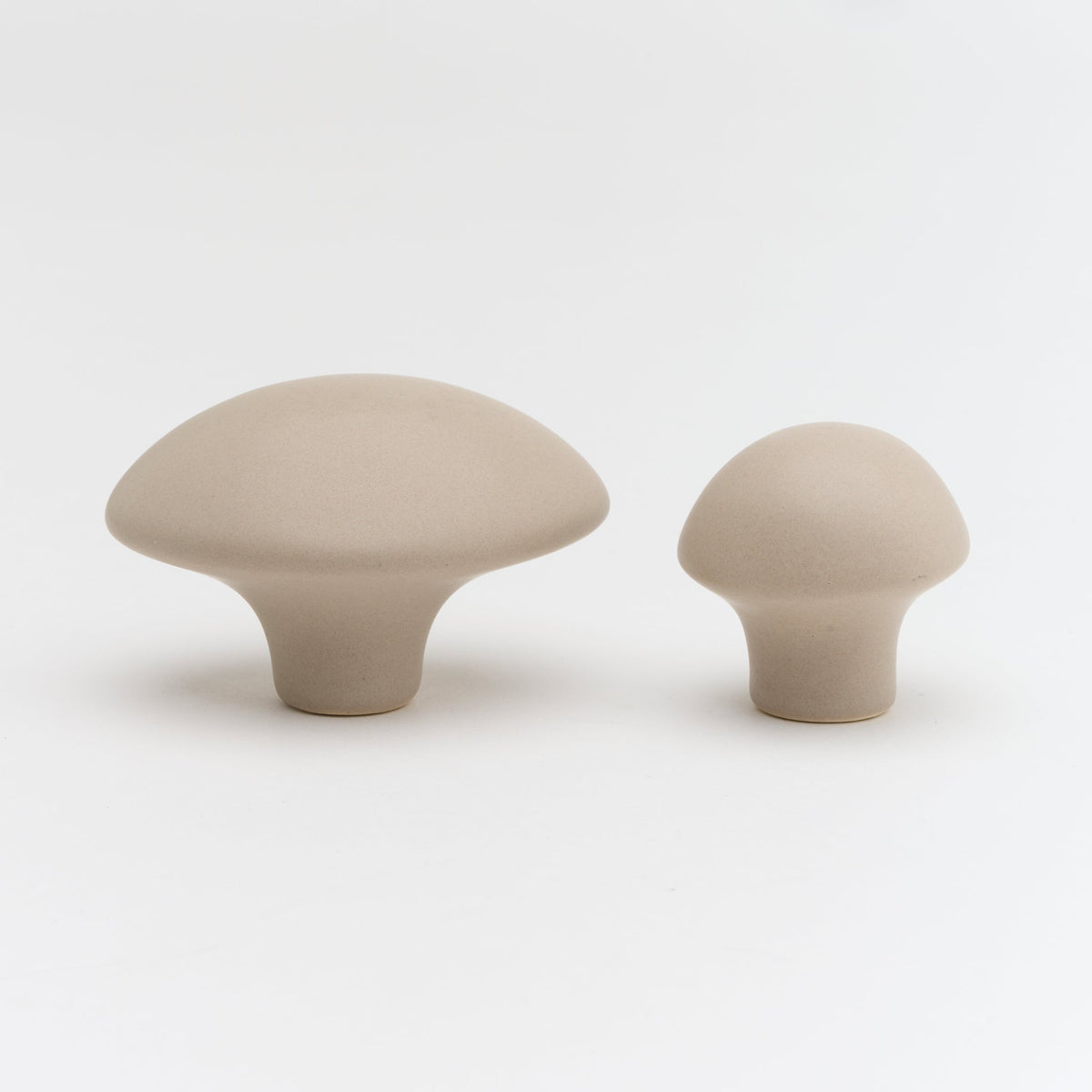 Pebble Knob Mushroom — view 1
