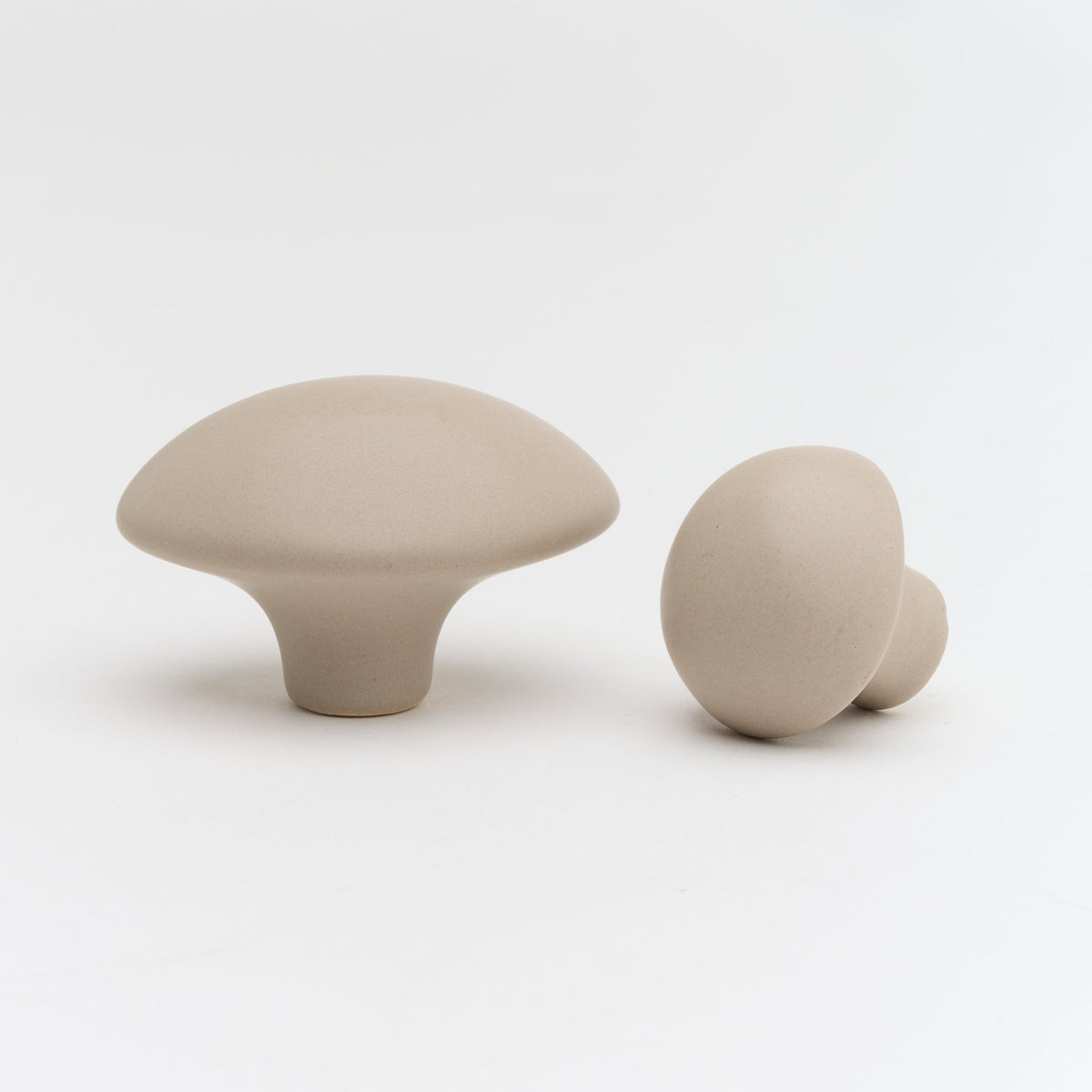 Pebble Knob Mushroom — view 4