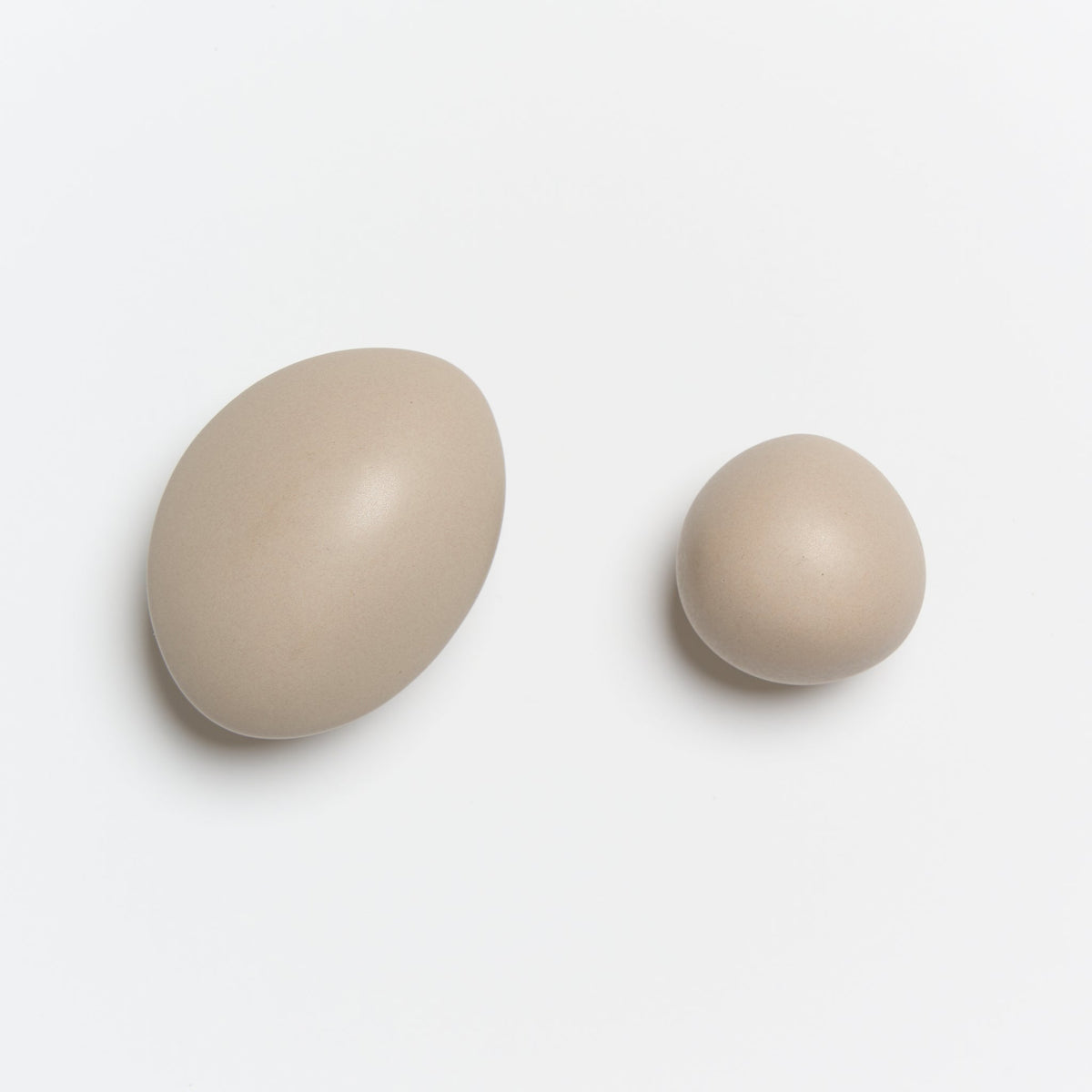 Pebble Knob Mushroom — view 3